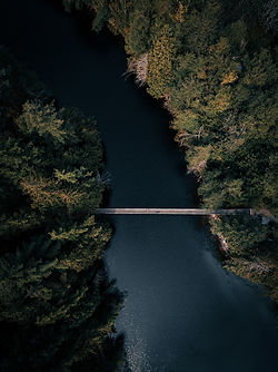 Image by Amanpreet Deol