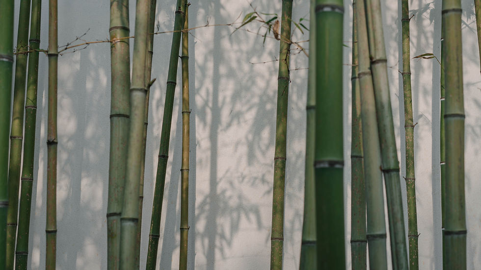 Image de Zhouxing Lu