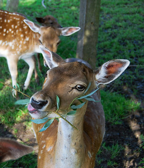 Image by Noémi Macavei-Katócz