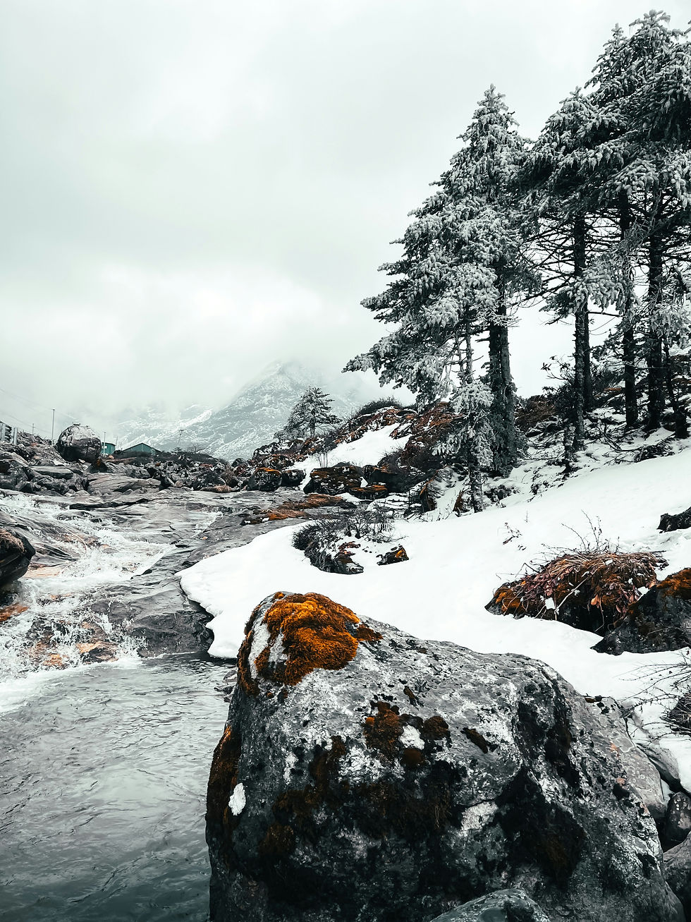 Assam & Arunachal: Rhinos & Road Trips