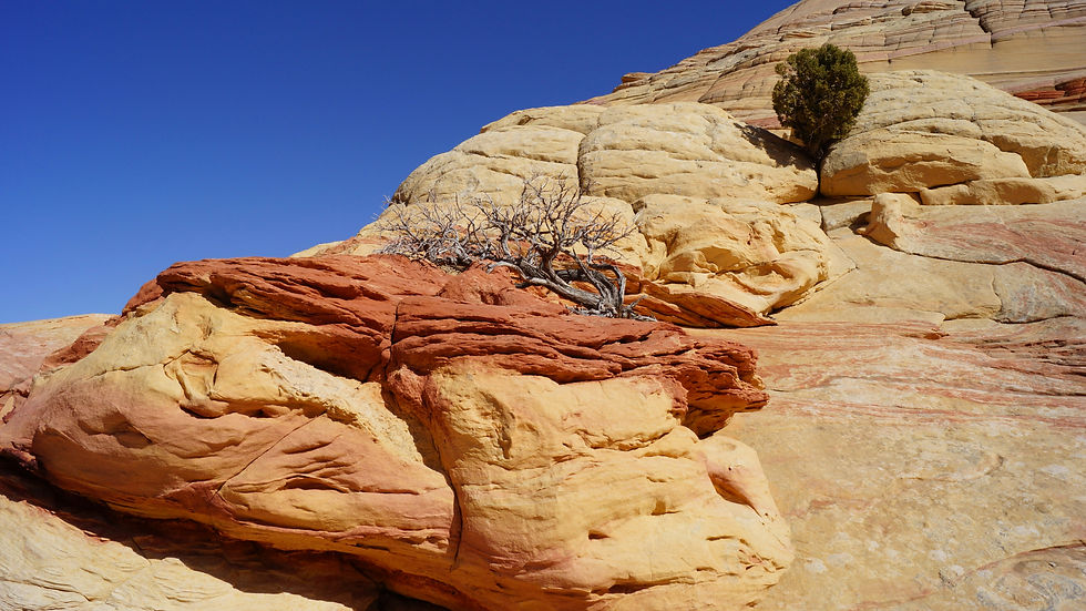 Kanab, Utah