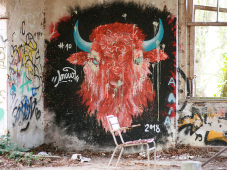 Yin Earth Ox - January 2026