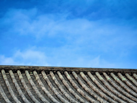 Diagnostic immobilier et toiture : ce qu’il faut savoir avant une vente