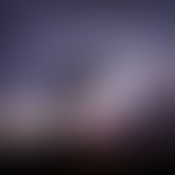 Good Friday - The Tree of Life