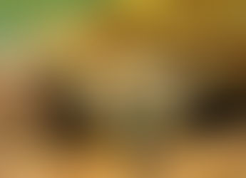 Data Security-related Script for Skyhigh Security
