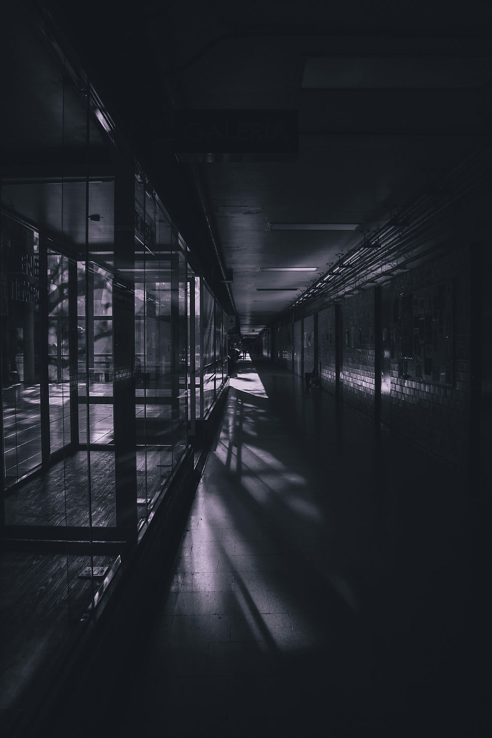 Image by Daniela Martinez