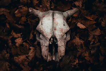 Image by Pavel Karagodin