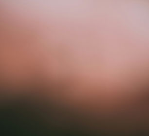 Image by Philipp Hubert