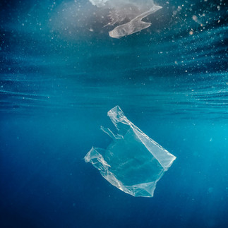 Plastic Free July - The Sea Matters