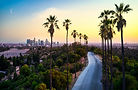 Image by Venti Views