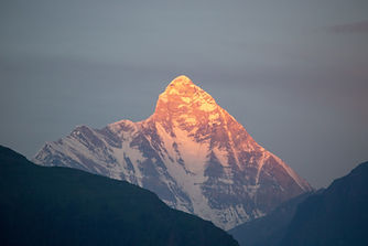 Image by Lay Naik