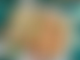 Sandwich Tuesday: Bánh Mì – Vietnamesische Frische auf dem Baguette