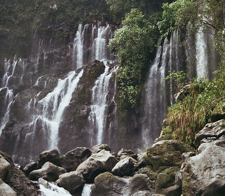 Image de Rames Quinerie