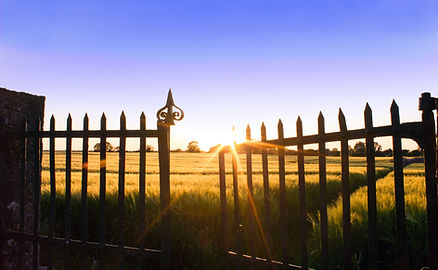 Image by Dave McDermott
