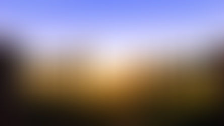 Scripture Reflection - July 24, 2022