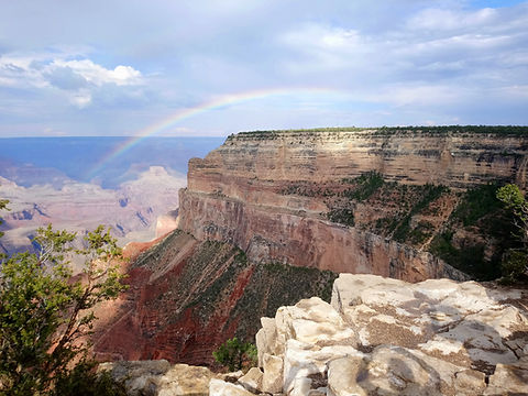 Image by Graham Willis