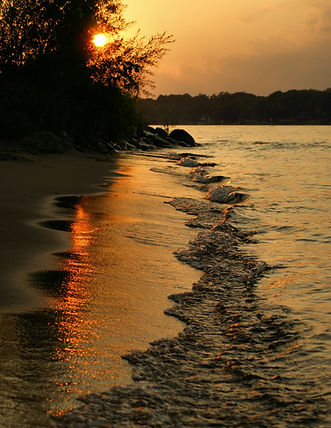 Image by rod m