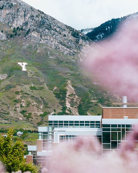 Image by Aubrey Odom