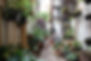 Image de Smrithi Rao