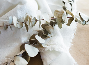 Image by Bree Anne
