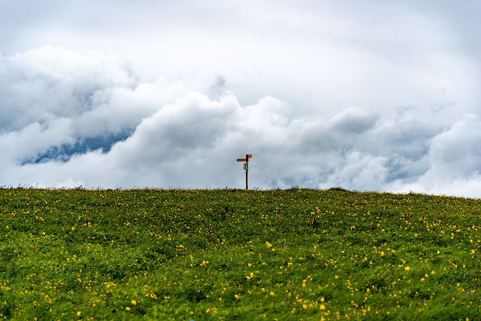 Do yourself a favour: shaping the preliminary stages of conflict.