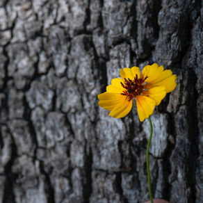 IT’S BEEN SEVEN YEARS