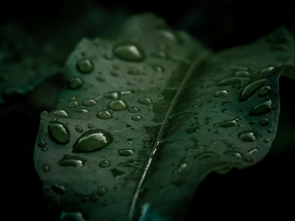 Image by Ashish AB