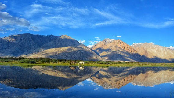 Image by Darshan Chudasama