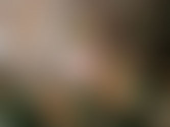 A soft pink rose blooms surrounded by red-orange rose hips and green leaves. The background is a blurred, earthy mix of browns and greens.