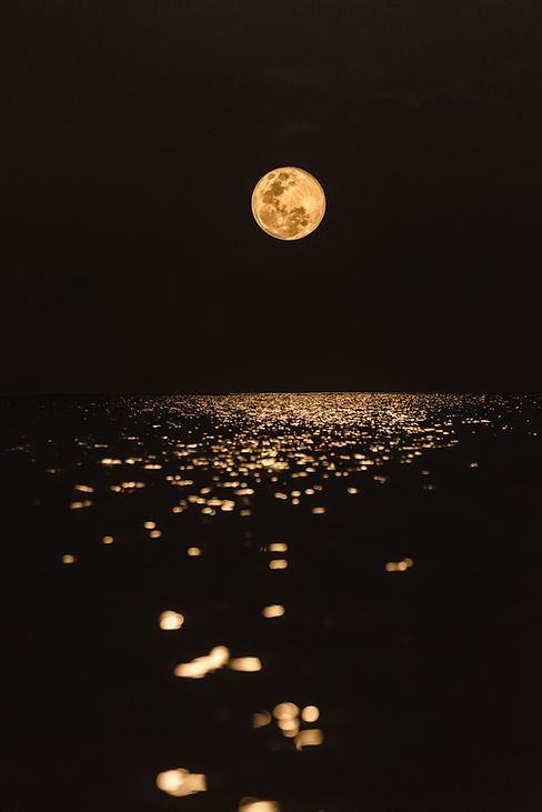 Image by Javardh