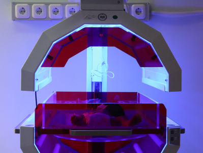 UK MHRA Med Dev Guidance: Clinical Investigations for Medical Devices - What Sponsors Need to Know in 2025