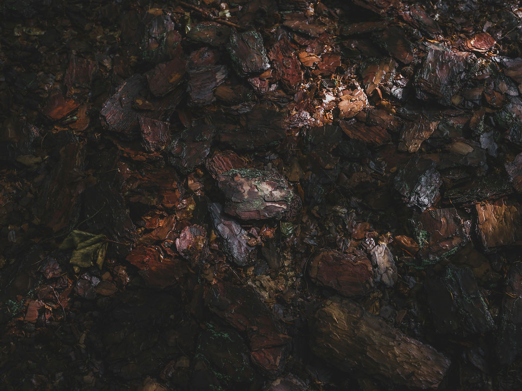Image by Haberdoedas