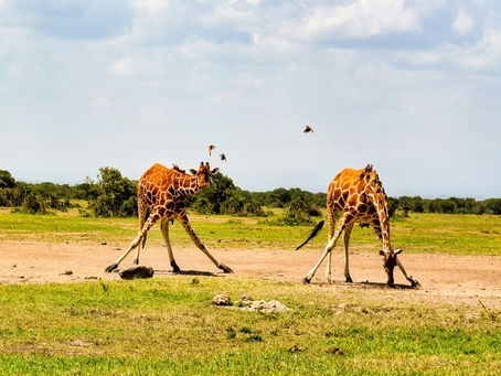 How to Speak a Foreign Language with Confidence