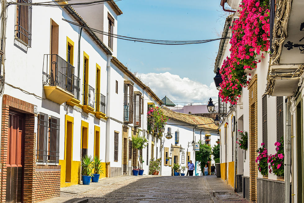 Top 10 salones de belleza y profesionales de belleza en Zamora