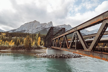 Image by Christine Donaldson