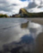 Image by Adele Erolsky