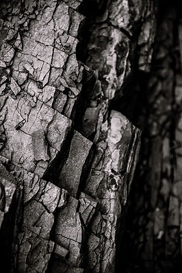 Image by Alex Beholder