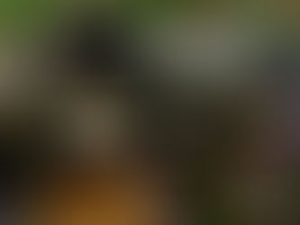 7 steps to help you start time-banking today