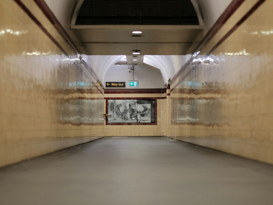 Best Suburbs for Public Transport in South Sydney, The 2026 Guide
