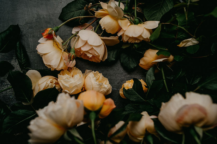 Image by Annie Spratt