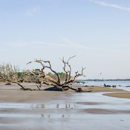 Jekyll Island Georgia
