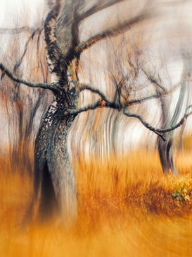 Зависимость шаг за шагом: как она формируется и почему разрушает личность