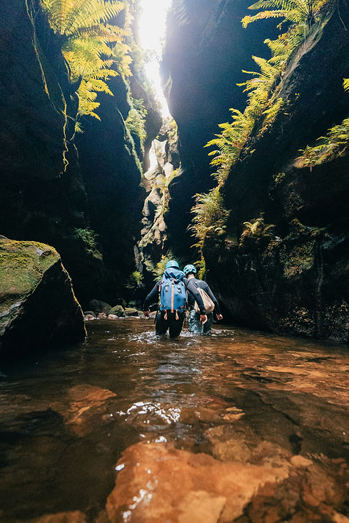 Image de Josh Fotheringham