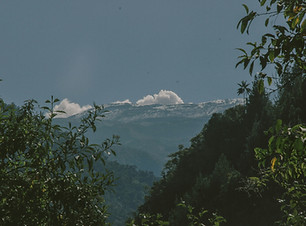 Image by LIVESTART STIVEN