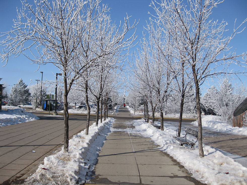 Discover Regina: A Hidden Gem and Its Must-Explore Attractions