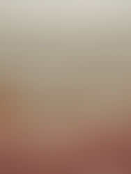 Unpacking the Variables: What Factors Affect Foundation Repair Costs in Texas?