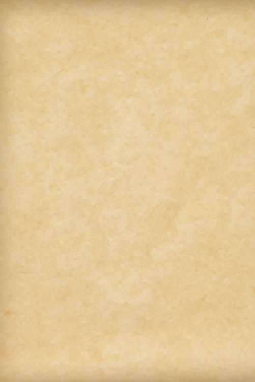 Image by Safwan Thottoli