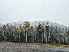Some morning snow for some #nlwx