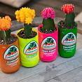 Image by Jarritos Mexican Soda