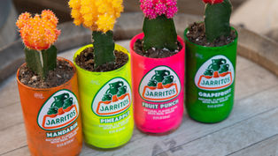 Upcycle | Yukarı (İleri) Dönüşüm: Atıkları Sanata ve Kâra Dönüştürme Sanatı